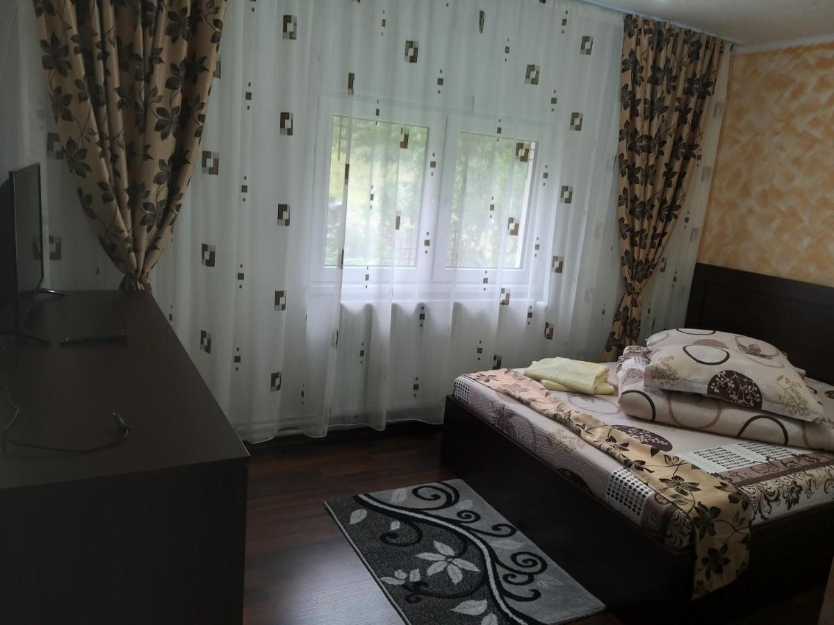 Casa Cosmina Arieseni 빌라 외부 사진