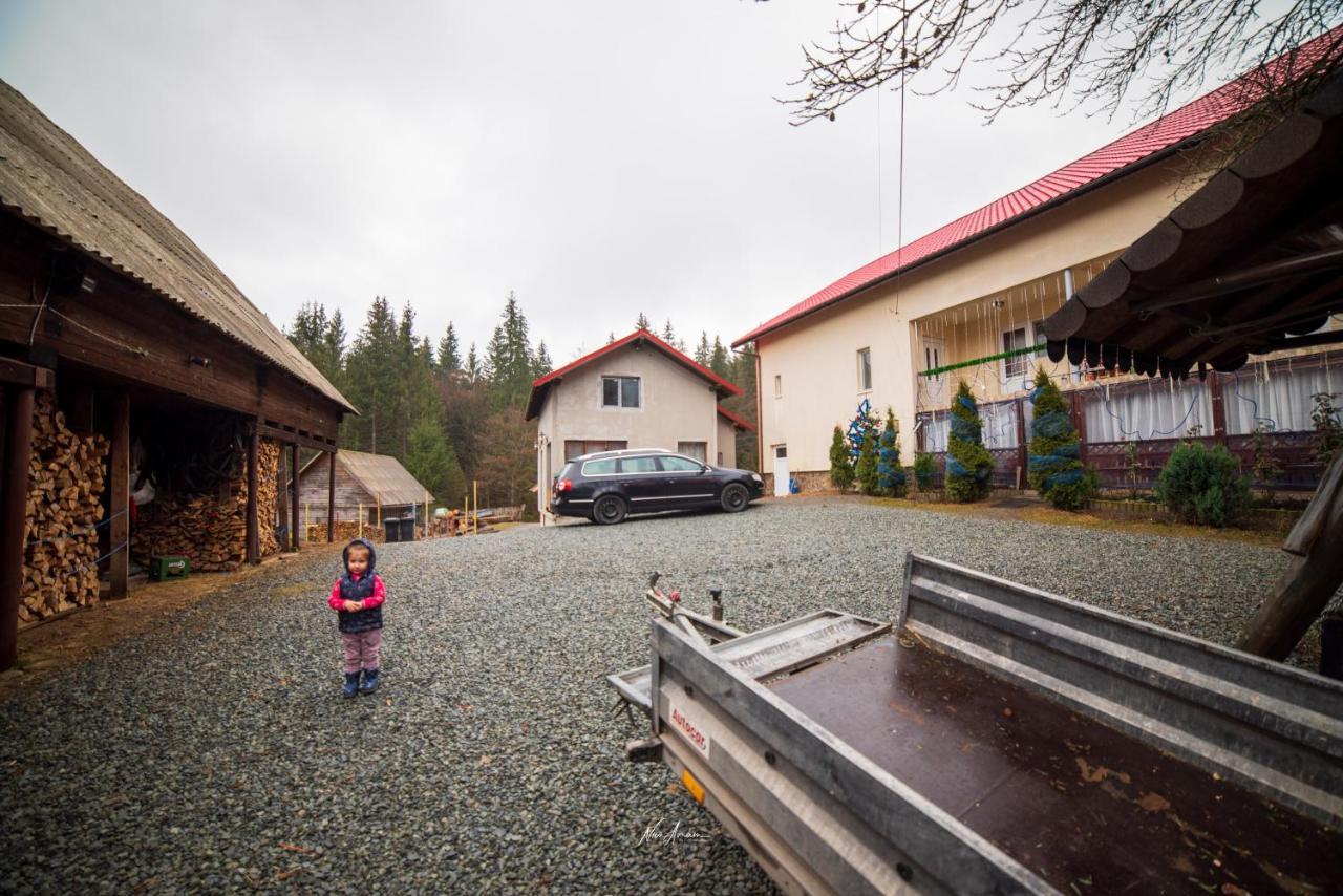 Casa Cosmina Arieseni 빌라 외부 사진
