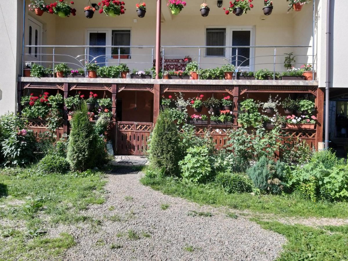 Casa Cosmina Arieseni 빌라 외부 사진